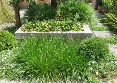 achtertuin met moderne uitstraling dutch quality gardens (15)