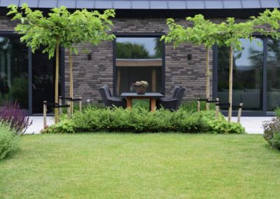 achtertuin met uitbundige en verrassende beplanting dutch quality gardens 2