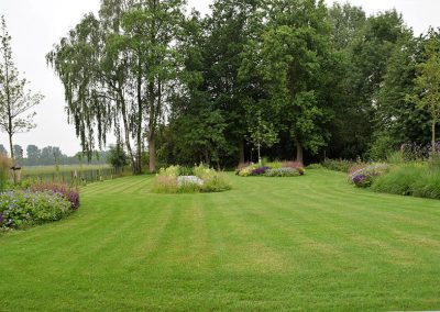 Dutch Quality Gardens Mocking Hoveniers Moderne Tuin