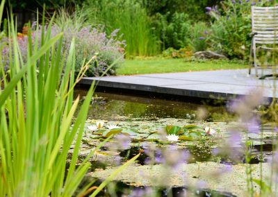 Dutch Quality Gardens Visio Vireo Harmonieuze Bloemtuin In Hoogerheide 1