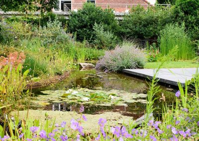 Dutch Quality Gardens Visio Vireo Harmonieuze Bloemtuin In Hoogerheide 2