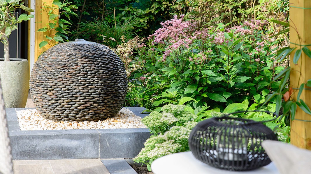 Tuintips juni