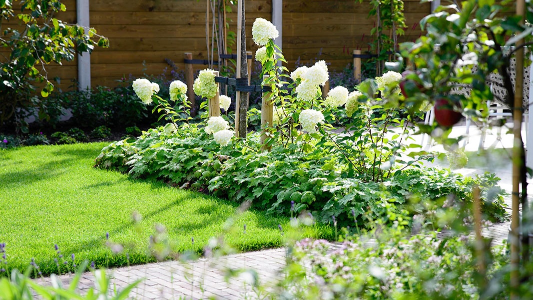Tuintips september