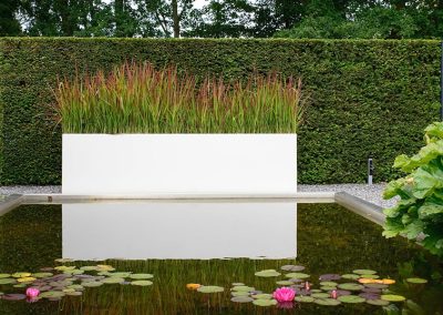 Dutch Quality Gardens Visio Vireo Vijvertuin Met Rood In De Hoofdrol In Woensdrecht 1
