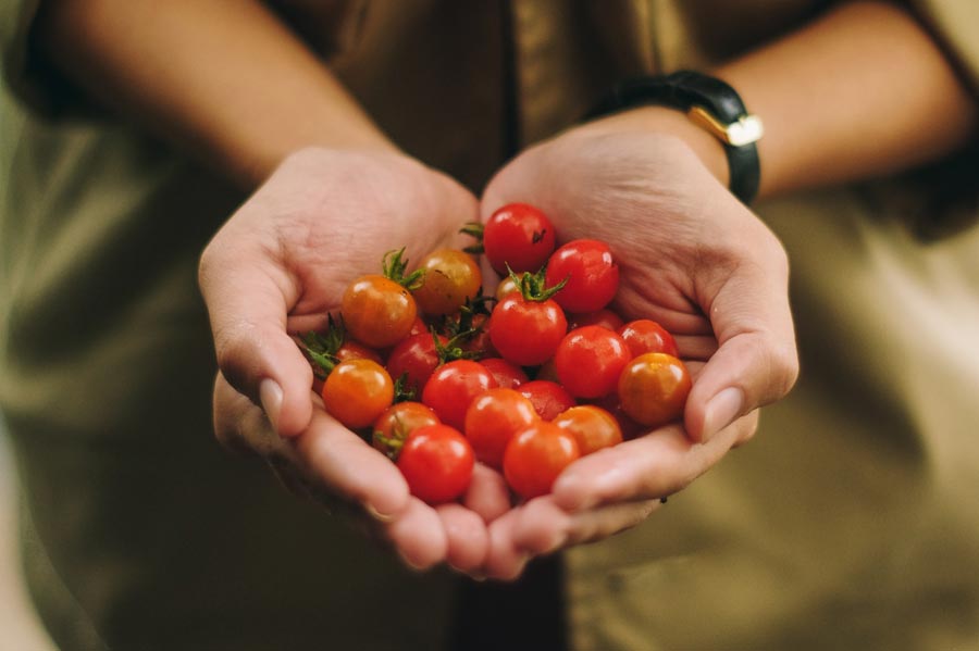 eten uit je tuin moestuin tomaten