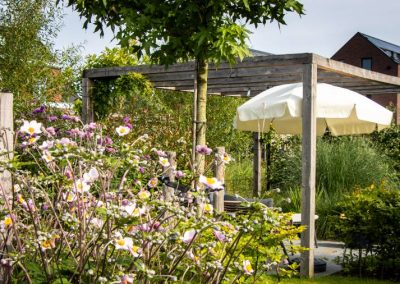 Groene, landelijke tuin rondom nieuwbouwhuis - Dutch Quality Gardens
