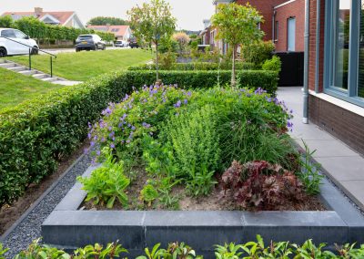 groene en onderhoudsvriendelijke voortuin (10)