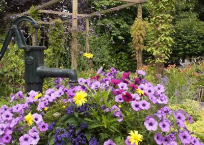 Klassieke Cottagetuin Dutch Quality Gardens 6