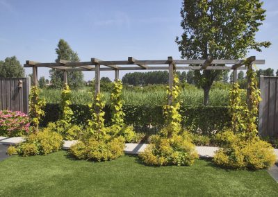 Klassieke Zeeuwse Tuin Dutch Quality Gardens 3