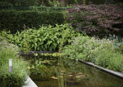 Moderne Bosaangrenzende Tuin Dutch Quality Gardens 7