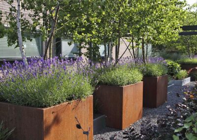 Moderne Tuin Bergen Op Zoom Dutch Quality Gardens 6