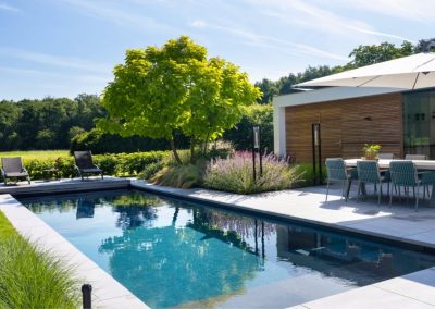 moderne tuin met bloemrijke border sparq tuinen