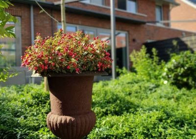Onderhoudsvriendelijke luxe tuin - Dutch Quality Gardens