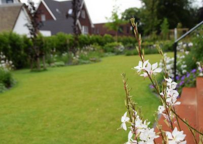 organische groene tuin rondom moderne woning dutch quality gardens 13