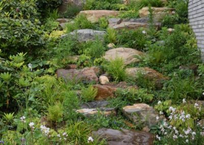 organische groene tuin rondom moderne woning dutch quality gardens 7