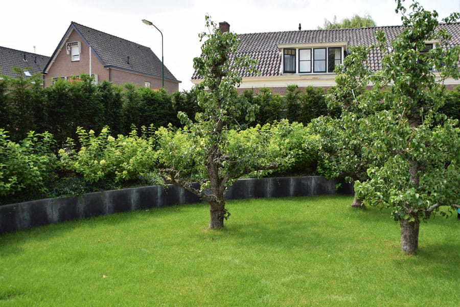 rustige tuin bij klassieke woning 3