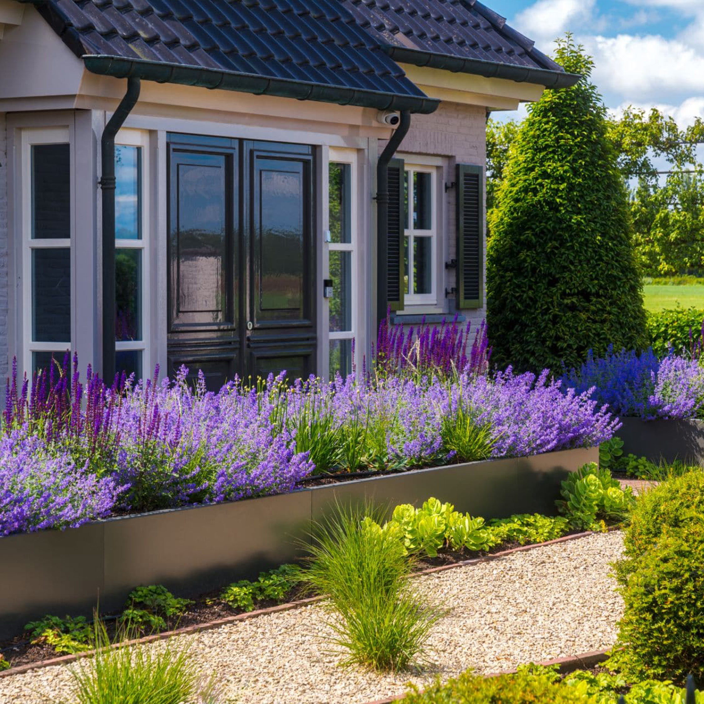 Tuinaanleg-Dutch-Quality-Gardens-1x1-05