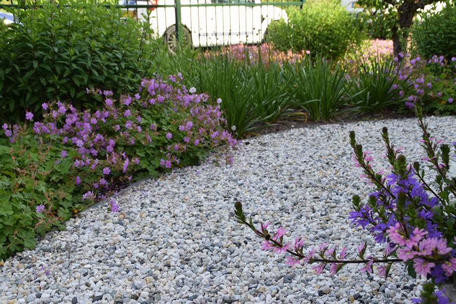voortuin met ronde vormen dutch quality gardens mocking hoveniers (1)