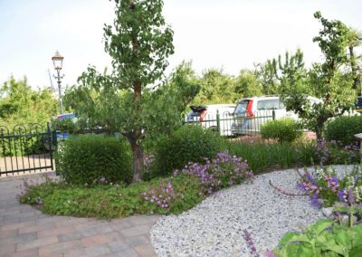 voortuin met ronde vormen dutch quality gardens mocking hoveniers (5)