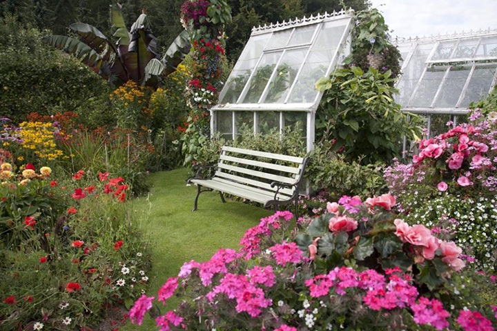 Engelse cottage tuin met een Franse slag