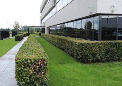 rustige strakke kantoortuin (9)